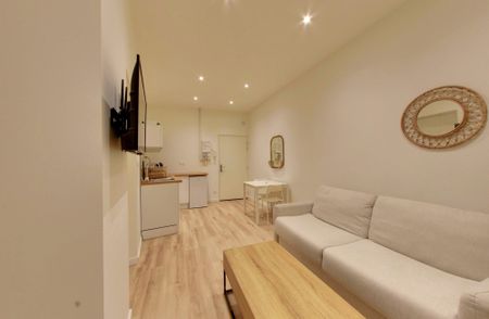 Location Appartement 1 pièce 19m² GRENOBLE 38000 - Photo 4