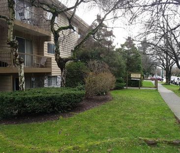 Large One Bed near Marpole Loop Available March 1st or earlier - Photo 1