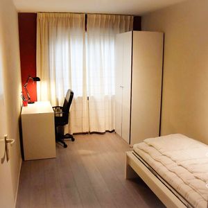 Dries van der Vlerkstraat (15010) - Photo 2