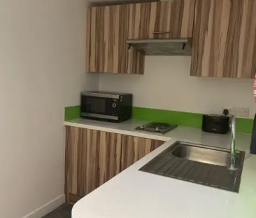 Budget Classic Apartment - Photo 3