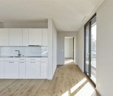 3.5 Zimmer, 81 m², EG - Foto 2