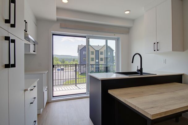 5001, boul. Bertrand-Fabi #301, Sherbrooke (Rock Forest | St-Élie) - Photo 1