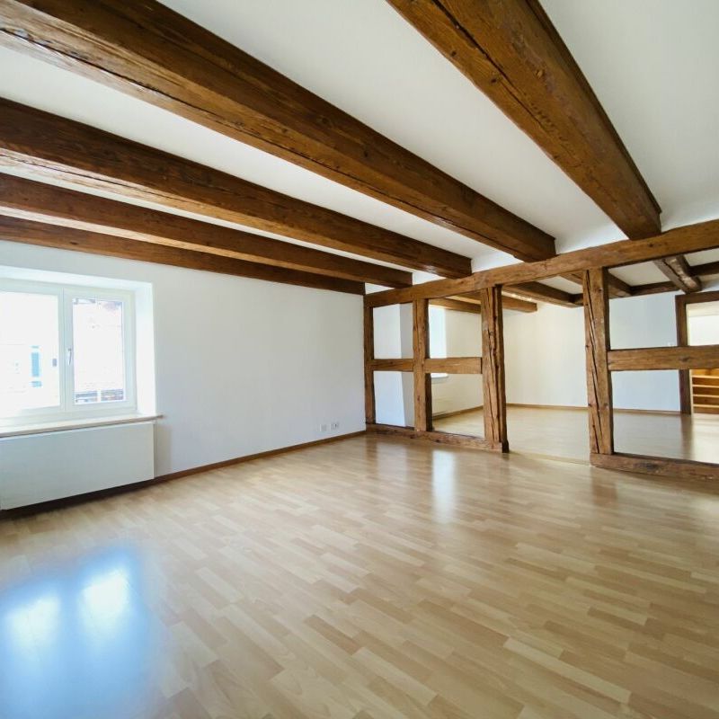 Rustikale Wohnung mit Parkplatz, Estrich und Gartensitzplatz - Photo 1