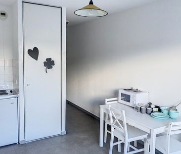 Location Appartement 1 pièce 19m² ANNONAY 07100 - Photo 4