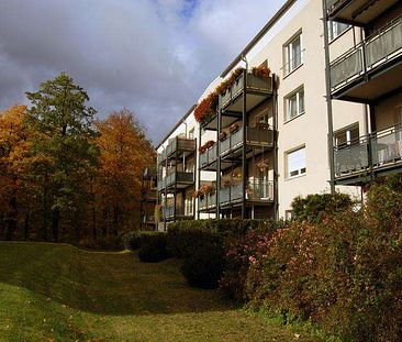 Großzügige 2-Zimmer-Wohnung mit Balkon in Naumburg - Foto 3