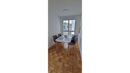 2½ Zimmer-Wohnung in Langwiesen (ZH), möbliert, auf Zeit - Photo 4
