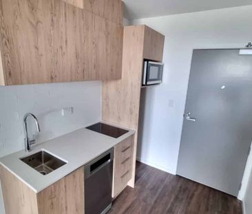 Studio Apartment in Premium Location - Photo 2