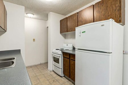 1 Bedroom - Photo 5