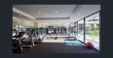 Bright One Bedroom Apartment in Macquarie Park Village - Photo 3