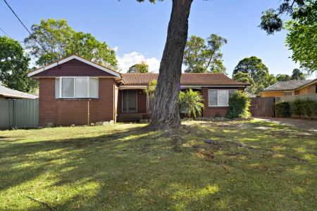 Freshly Updated Home in Sought-After Crestwood Catchment - Photo 4