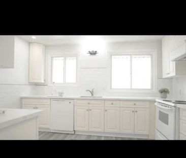 For Lease - 8 Maynard Street Unit# Main, Hamilton, Ontario - Photo 6