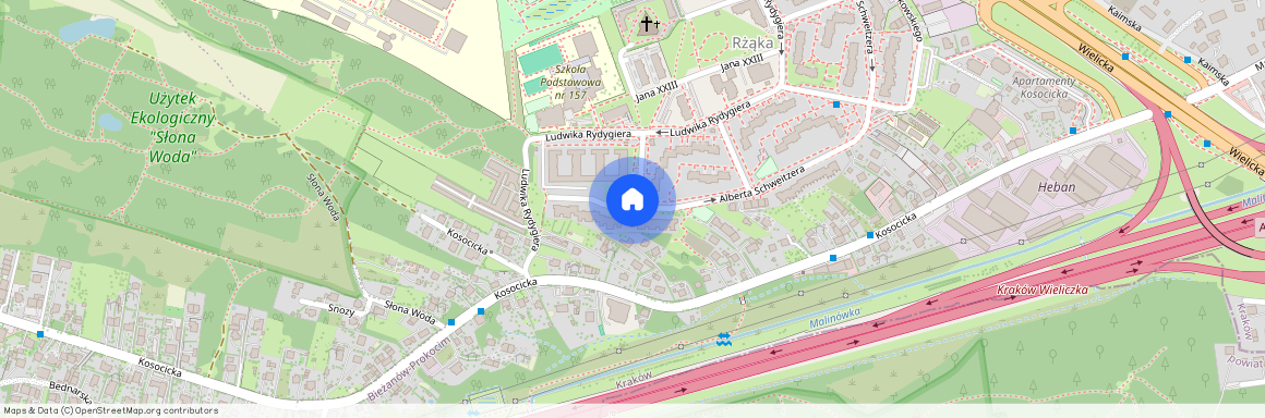 ul. Kosocicka, Rżąka, Bieżanów-Prokocim, Kraków, małopolskie