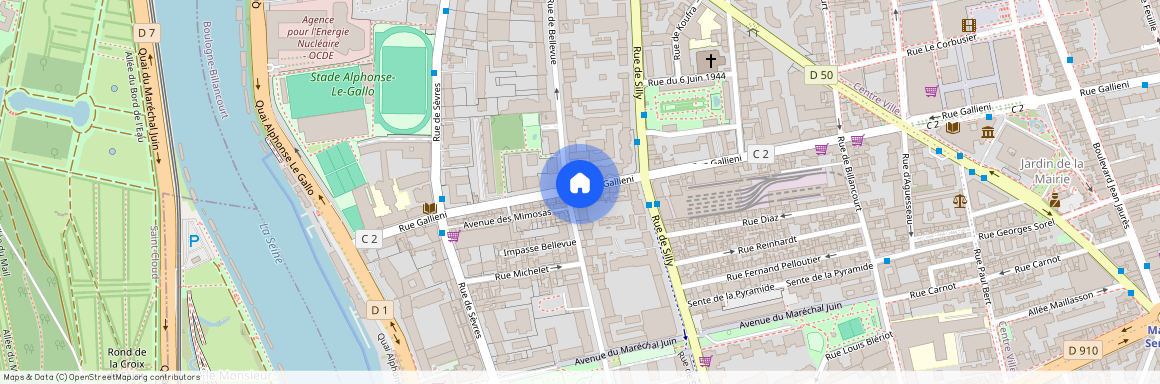 215 Rue Gallieni, 92100 Boulogne-Billancourt