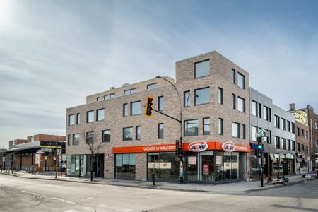 Condo for rent, Montréal (Rosemont/La Petite-Patrie) - Photo 2