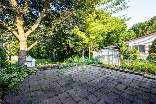 For Lease - 45 Wales Avenue Unit# Walkout Basement, Markham, Ontario - Photo 1