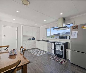 Solid Stobo - Photo 5