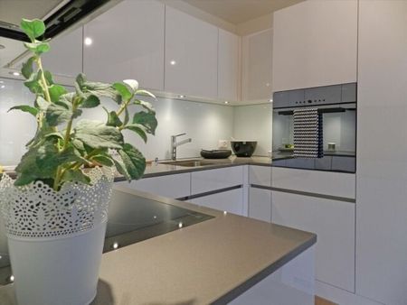 BEAUTIFUL LIFE RENT WITHOUT DEPOSIT - Photo 5