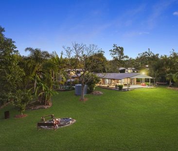 6 Springfield Street, Upper Coomera QLD 4209 - House For Rent | Domain - Photo 4