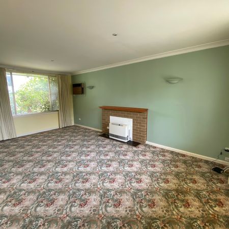 73 Price Street, Essendon VIC 3040 - Photo 4