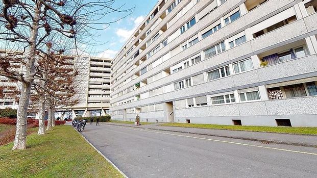 4 Zimmer-Wohnung in Genève - Lancy, möbliert - Foto 1