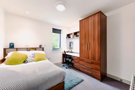 Studio bronze - Photo 2