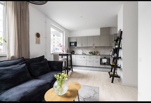 Gaffelseglet, Vega - Photo 1