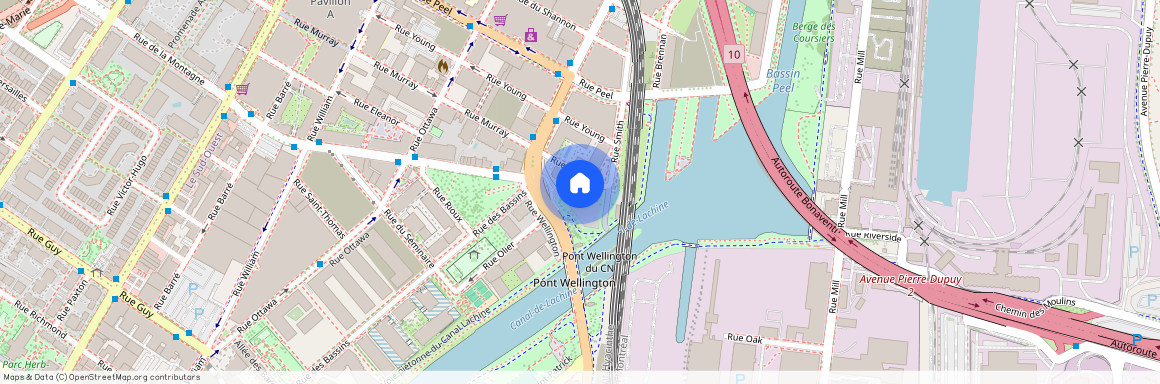 100 Rue Murray, app. 1001, Montréal (Le Sud-Ouest), H3C1A2