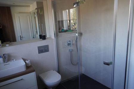 POUR LES AMOUREUX DES CHATS À BERNE - WYLERGUT, MEUBLÉ, TEMPORAIRE - Foto 3