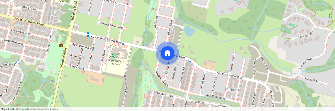 1 Rana Road, Flat Bush, Manukau City