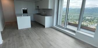 NEW two bedroom + den High floor corner unit with Views - Photo 2