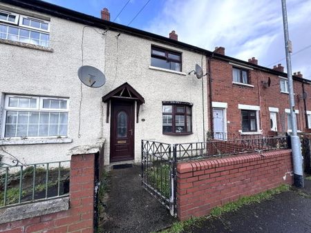 19 Lemberg Street, Belfast, BT12 6GH - Photo 3
