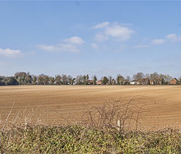 Main Road, Littleton, Winchester, Hampshire, SO22 - Photo 4