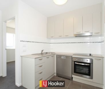 Gorgeous Bruce Light Filled Apartment! - Photo 3