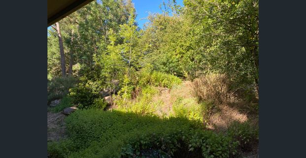 3 Beds 1 Bath Home For Rent $560 Per Week in Bridgewater - Photo 1