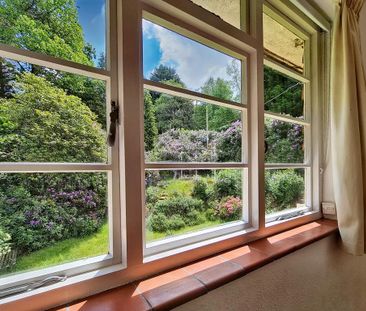 3 bedroom detached house to rent - Photo 3