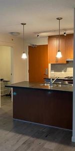 Coal Harbour Pet Friendly Renovated Spacious & Bright 2bd+2bth+den - Photo 4