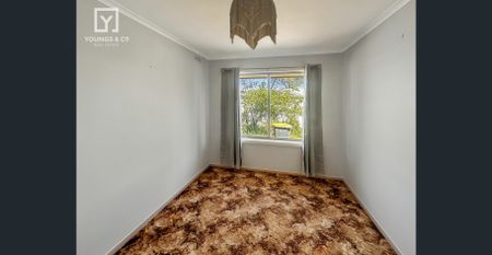 Don't Miss This Opportunity- Out of Town Living! - Photo 3