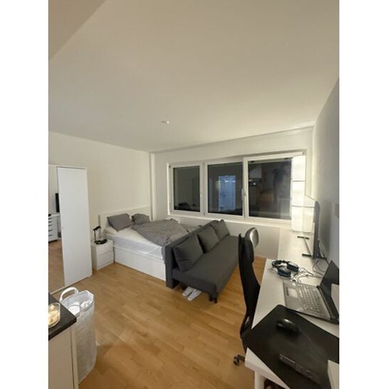 1 Zimmer-Wohnung in Zurich (ZH), möbliert - Foto 1