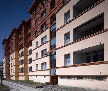 Demnächst frei! 3-Zimmer-Wohnung in Dortmund Scharnhorst - Photo 4