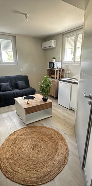 Location appartement 1 pièce, 17.50m², Le Sequestre - Photo 1