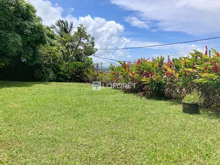 Maison T3 Petit-Bourg à louer - Photo 4