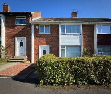 3 bedroom terraced house to rent - Photo 3
