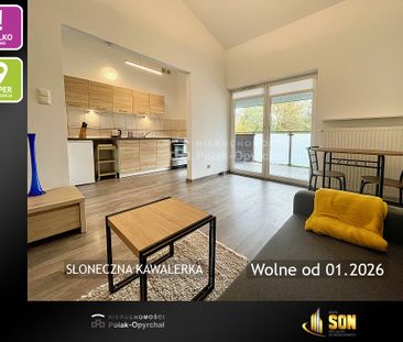 Oferta nr 6A 384w - Фото 3