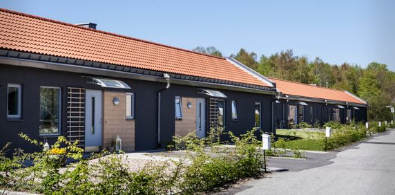 Harstigen 4 B - Photo 2