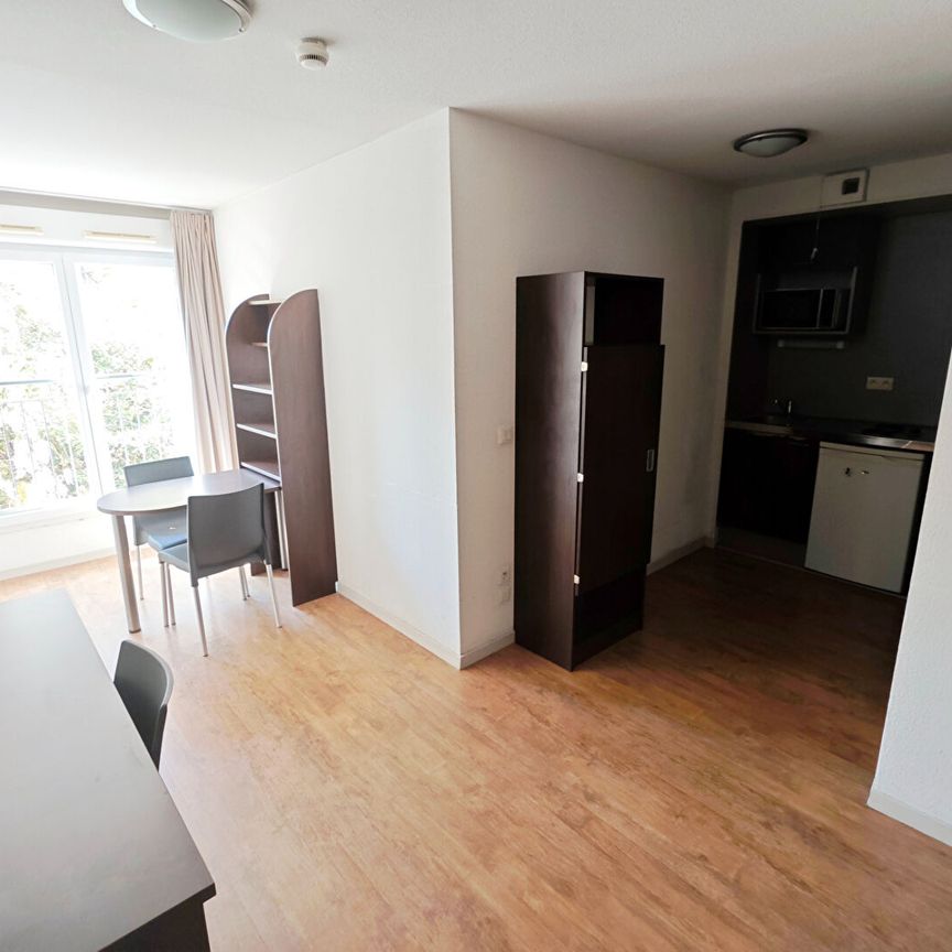 Location Appartement 1 pièce 24m² - Photo 1