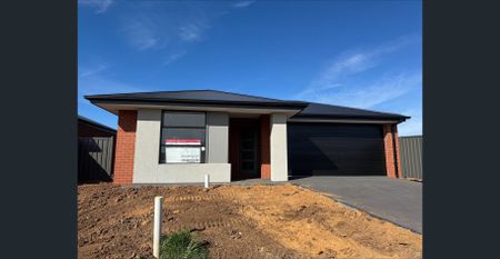 Brand New 4 Bedroom Home - Photo 2