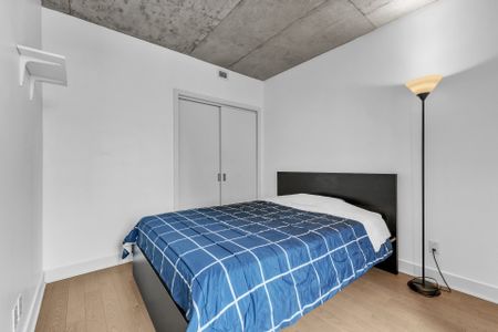 195 Rue Peel, Montréal (Le Sud-Ouest), QC H3C - Photo 2