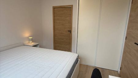 Appartement T2 meublé entièrement rénové - cuisiné équipée - Résidence SCHUMAN - Photo 5