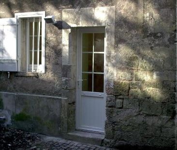 Location Appartement 1 pièce 21m² ST AVERTIN 37550 - Photo 1