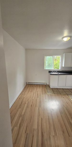 21 Rue Courchesne (Hull) Logement 2 Chambres Au Pleins Coeur De Hull! - Photo 1